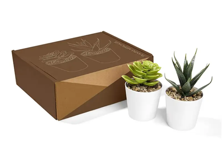 SET DE PLANTAS ALISO PARA REGALO Regalos corporativos