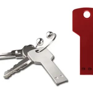 Memoria Usb Llave Tradicional