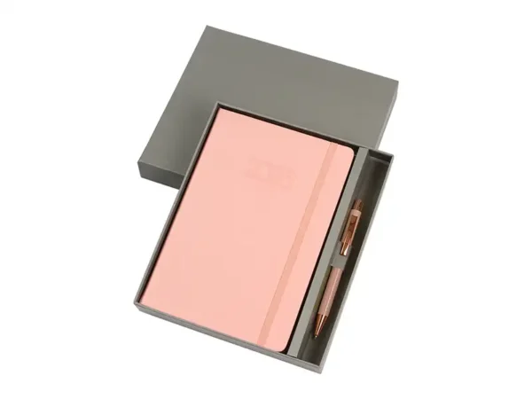 Agenda Diaria Falun 2026 - Set de Agenda diaria organizada por horario - Dot Factory