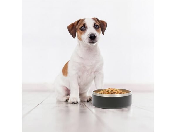 Tazon Gemini promocional para catering con logo. Mascota con tazón