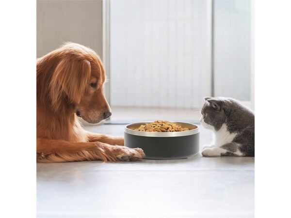 Tazon Gemini promocional para catering con logo. Uso