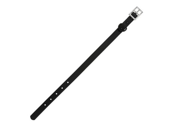 Collar Narbona para perro - Poliéster y aleación de zinc - Dot Factory