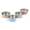 Plato Canillo para Mascota en Acero Inoxidable 304 - 30 oz - Dot Factory