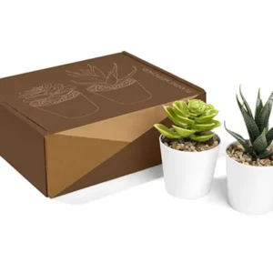 Set de Plantas Aliso para regalo con dos mini macetas blancas y plantas artificiales en caja ecológica