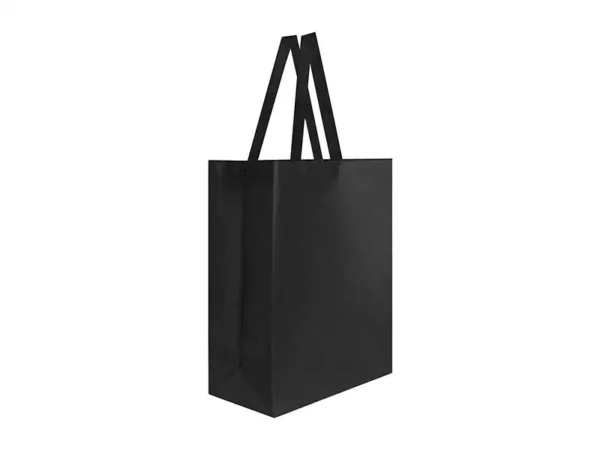 Bolsa Laredo Non Woven con Fuelle y Asas - Dot Factory