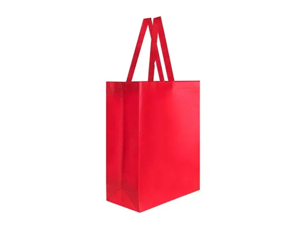 Bolsa Laredo Non Woven con Fuelle y Asas - Dot Factory